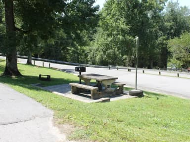 Site 42