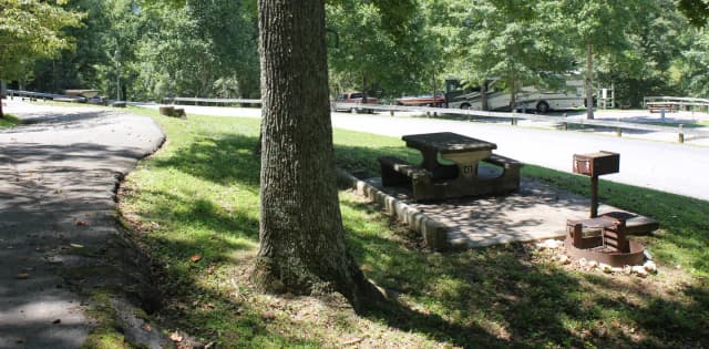 Site 43