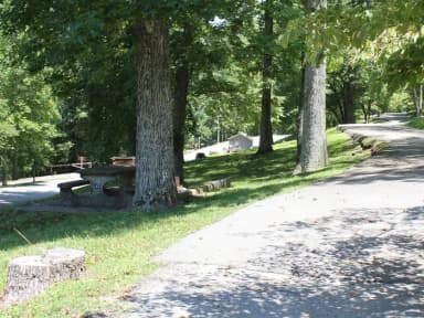 Site 43