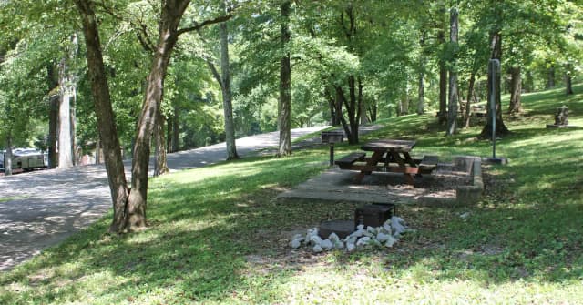Site 44