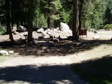 site 49