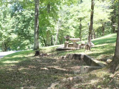 Site 45