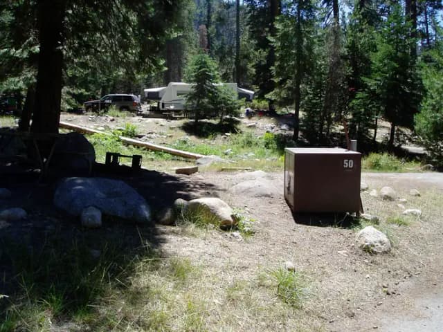 site 50