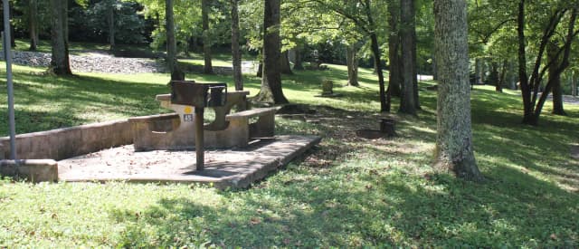 Site 45