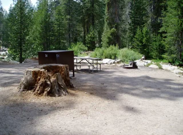 site 54