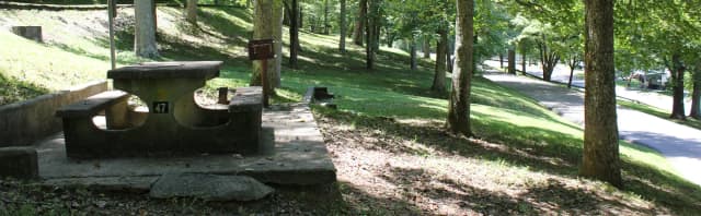 Site 47
