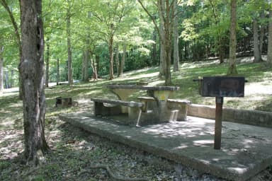 Site 50