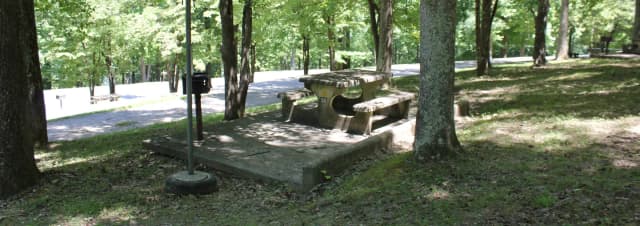 Site 50