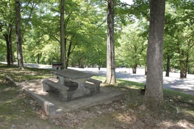 Site 52