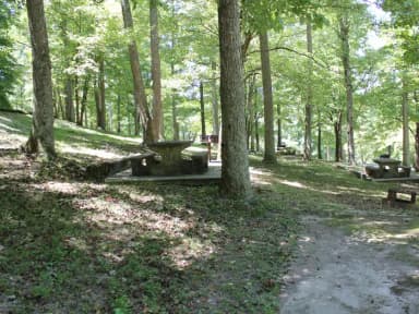 Loop HILL · Site 53 at Ragland Bottom