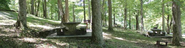 Site 53