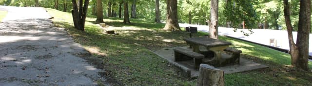 Site 54