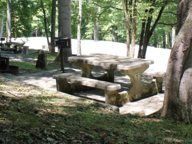 Loop HILL · Site 55 at Ragland Bottom