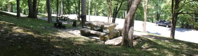 Site 55