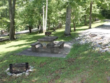 Loop HILL · Site 56 at Ragland Bottom