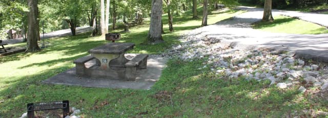 Site 56