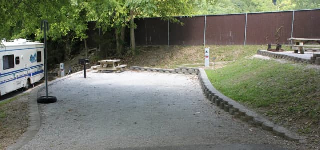 Site 4