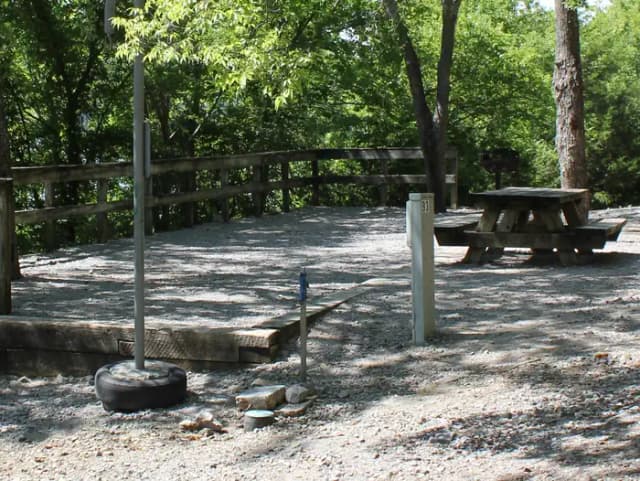 Site 81