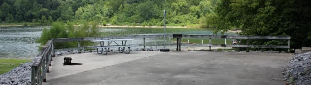 Site 6