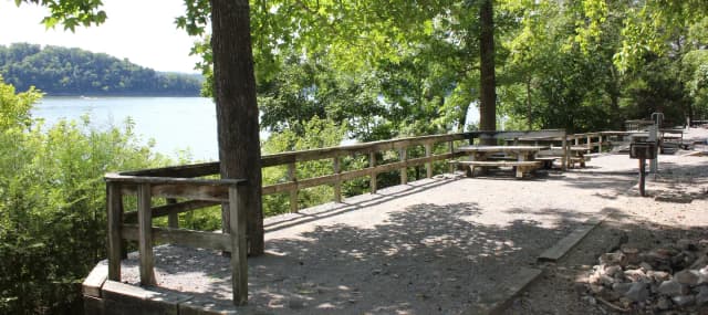 Site 85