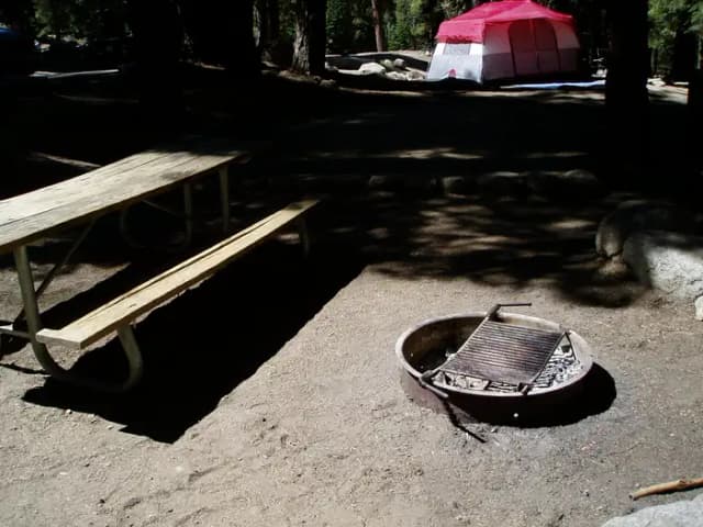 site 81