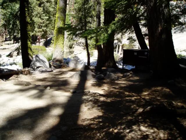 site 98