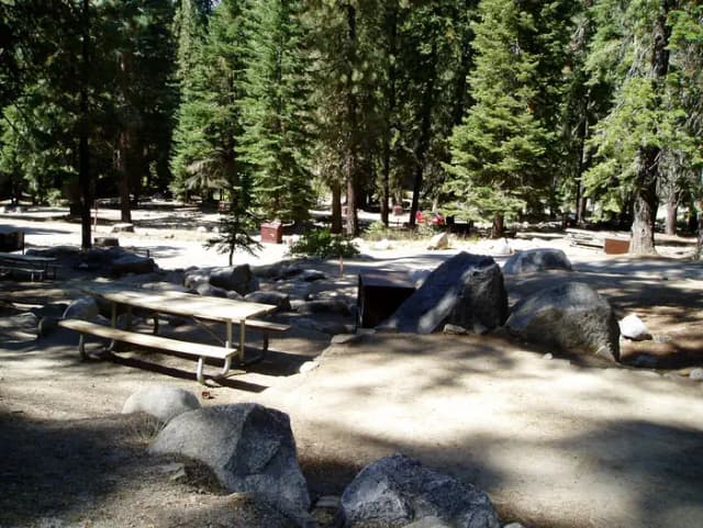 site 117