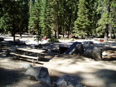 site 117