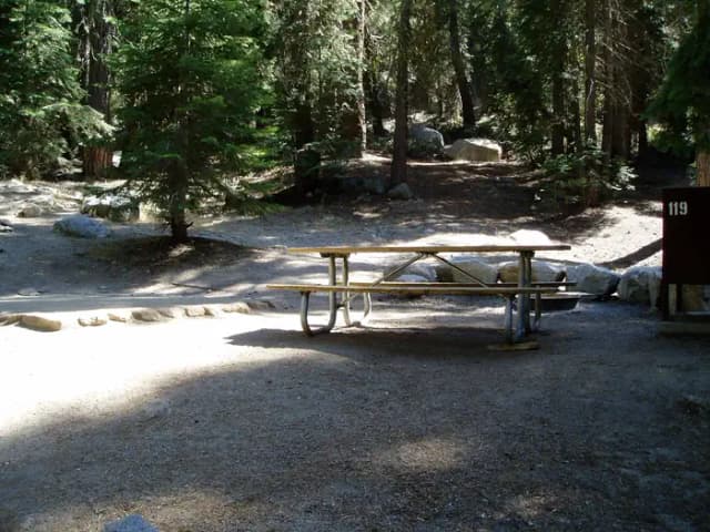 site 119