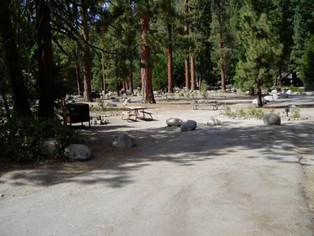 site 155