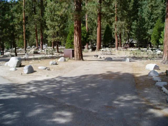 site 157