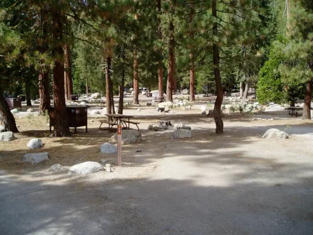 site 159