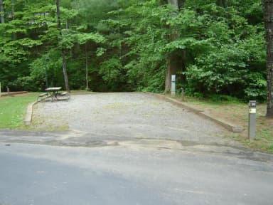 Site 36