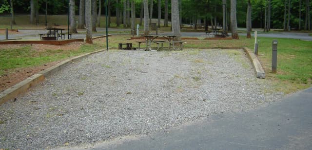 Site 38