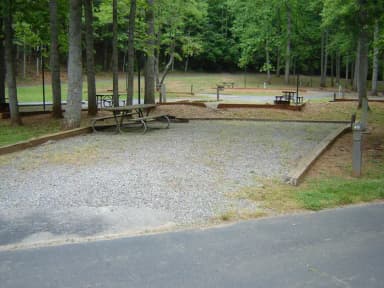 Site 40