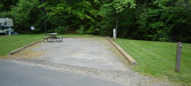 Site 41