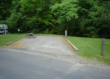 Site 41