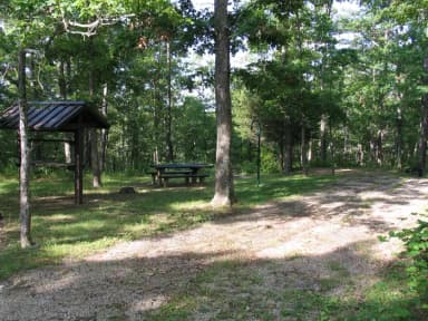 Campsite 5