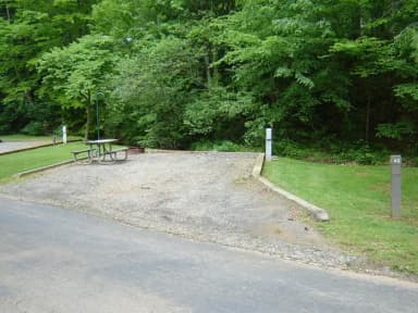 Site 43