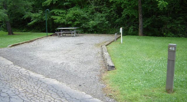 Site 45