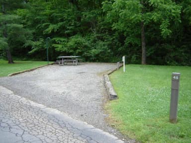 Site 45