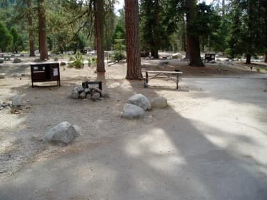 site 195