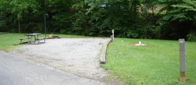 Site 47