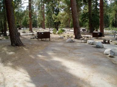 site 196