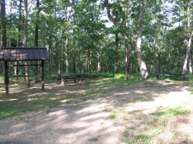 Campsite 7