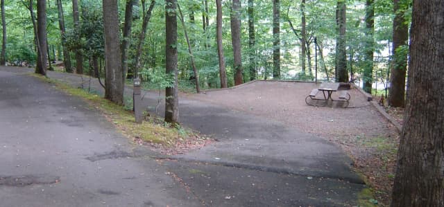 Site 48