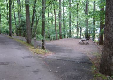 Site 48