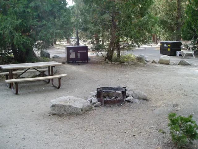 site 203