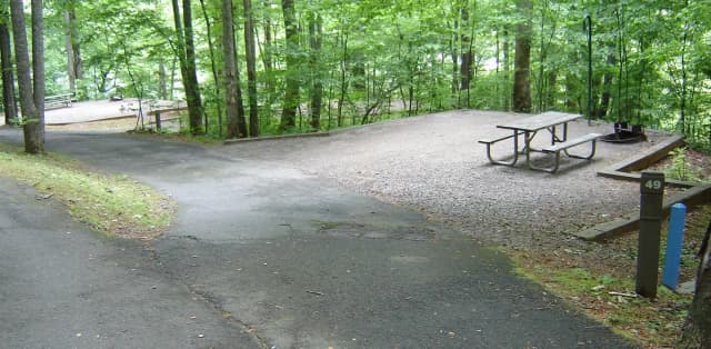 Site 49