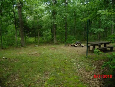Walk-in campsite 9 is well off in the woods about 100 yards from your vehicle.